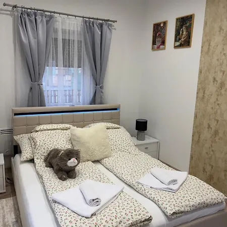 Apartament Barackvirag-vendeghaz *