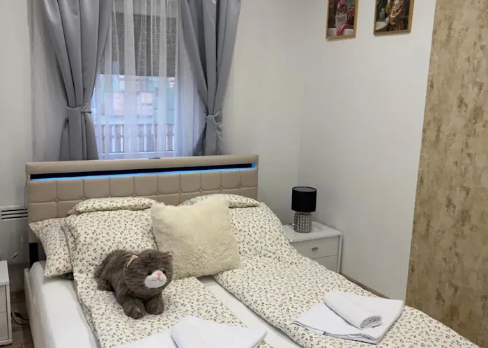 Appartement Barackvirág-vendégház *